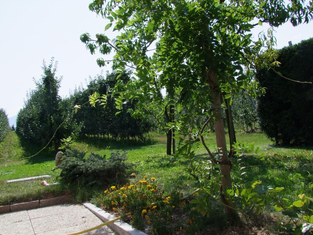 Agritur Fior Di Melo Apartment Nanno Luaran gambar